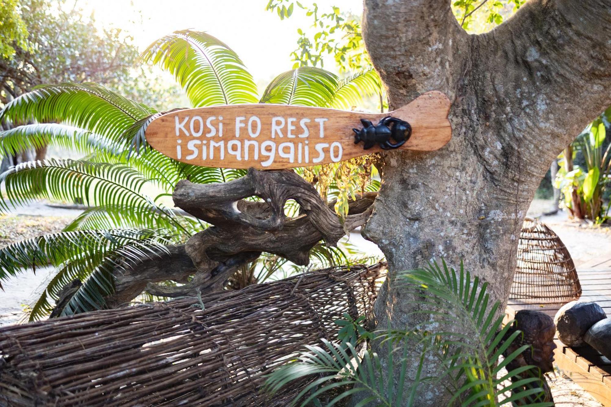 Kosi Forest Lodge Manguzi Kültér fotó
