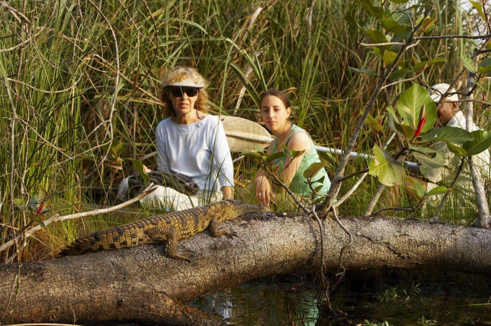 Kosi Forest Lodge Manguzi Kültér fotó