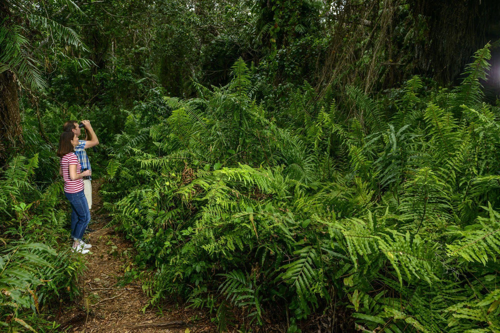 Kosi Forest Lodge Manguzi Kültér fotó